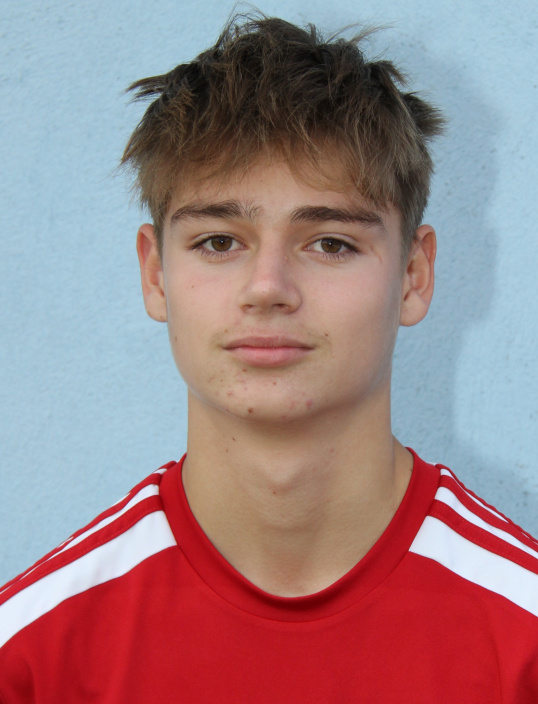 Mědílek Dominik