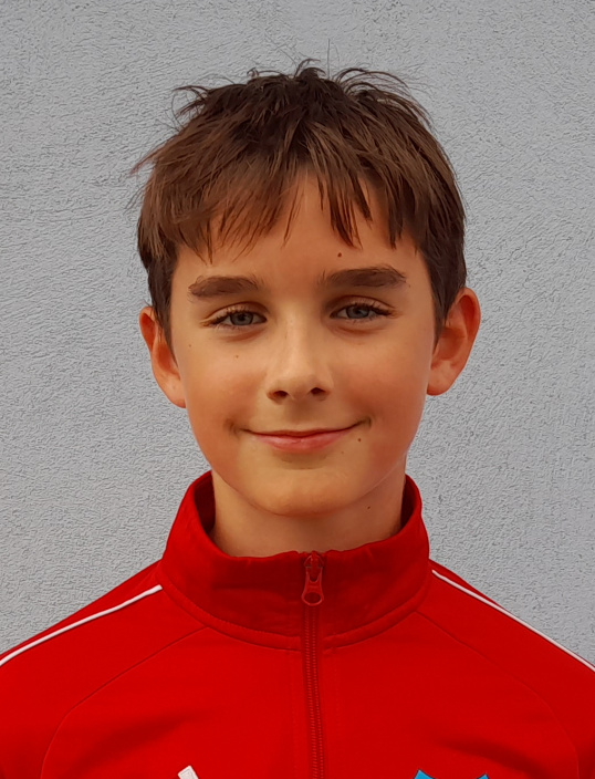Heisig David