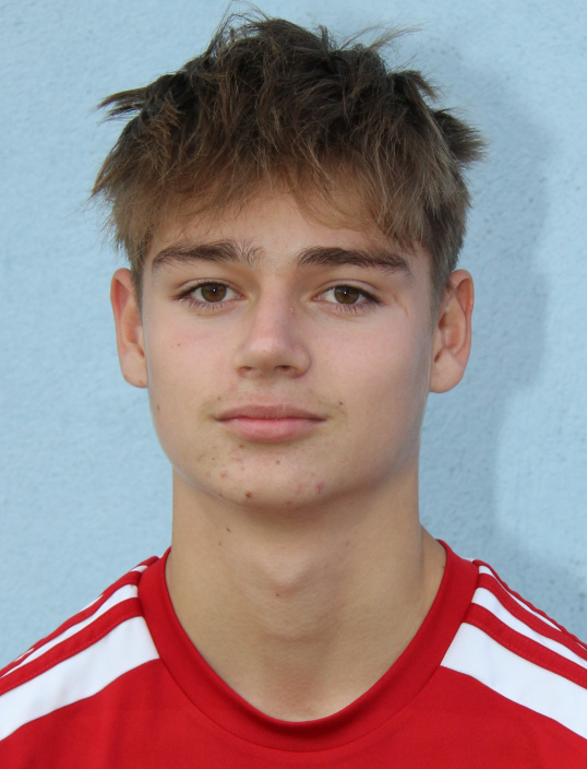 Dominik Mědílek