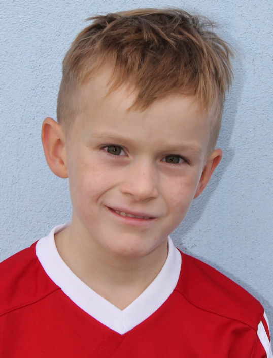 David Novák